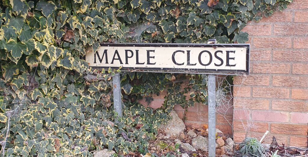MapleClose